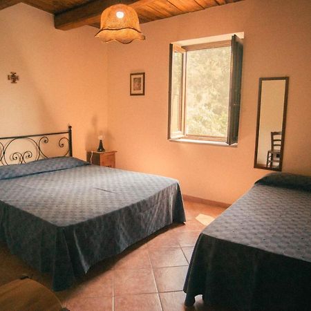 I Cedri Agriturismo Biologico Orsomarso Buitenkant foto